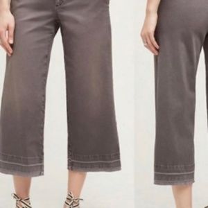 Anthropologie Pilcro Hyphen Crop Wide Leg Pant Size 29